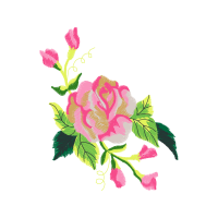 Beach Rose Flowers Beach Rose Flowers