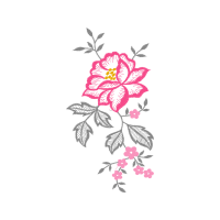 Beach Rose Flowers Beach Rose Flowers