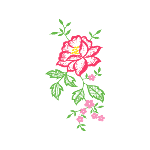 Beach Rose Flowers Beach Rose Flowers