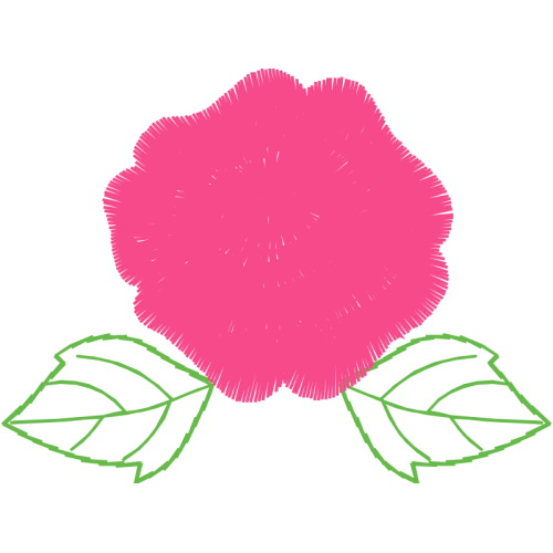 Beach Rose Flowers Beach Rose Flowers