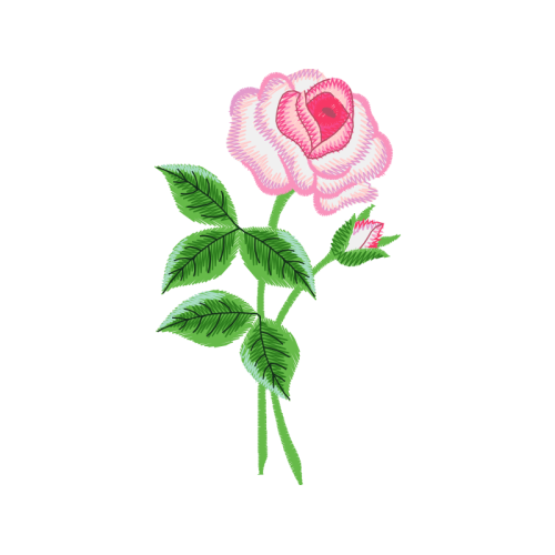 Beach Rose Flowers Beach Rose Flowers