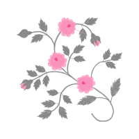 Beach Rose Flowers Beach Rose Flowers