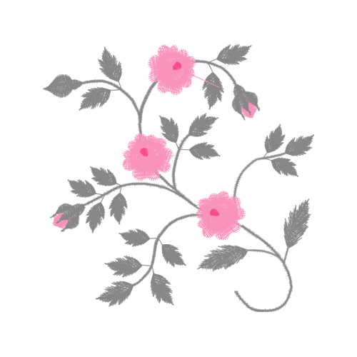 Beach Rose Flowers Beach Rose Flowers