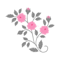 Beach Rose Flowers Beach Rose Flowers