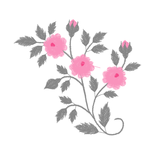 Beach Rose Flowers Beach Rose Flowers