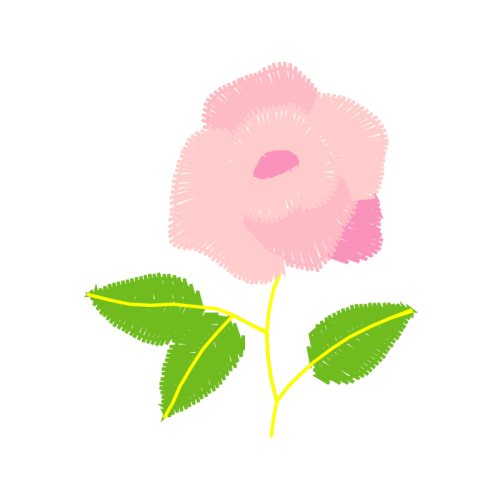 Beach Rose Flowers Beach Rose Flowers