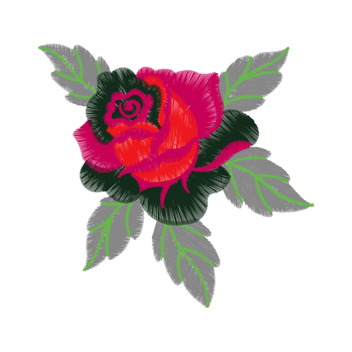 Beach Rose Flowers Beach Rose Flowers