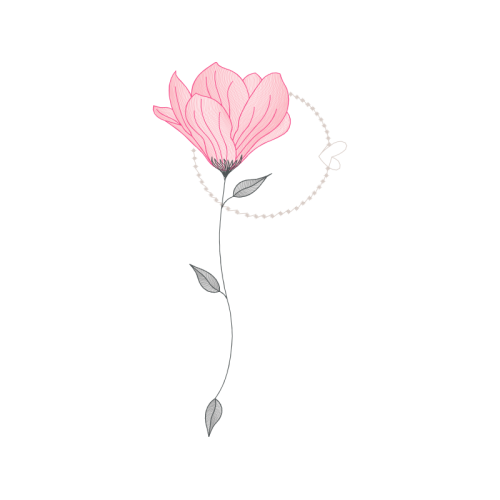 Beach Rose Flowers Beach Rose Flowers