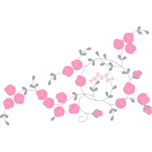 Beach Rose Flowers Beach Rose Flowers