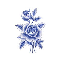 Blue Rose Flowers