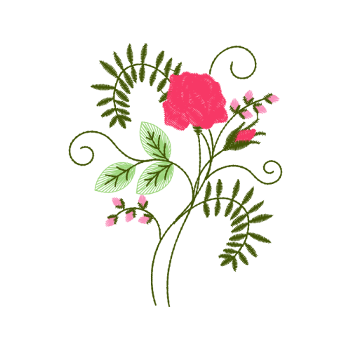 Caesalpinia Flowers Caesalpinia Flowers