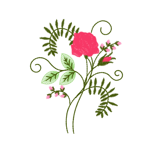 Caesalpinia Flowers Caesalpinia Flowers