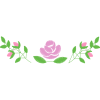 Caesalpinia Flowers Caesalpinia Flowers