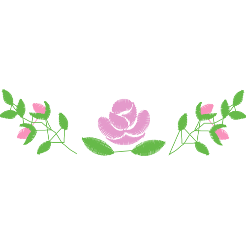 Caesalpinia Flowers Caesalpinia Flowers