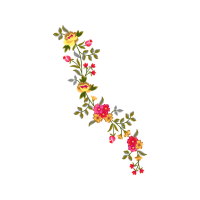 California Wild Rose Flowers