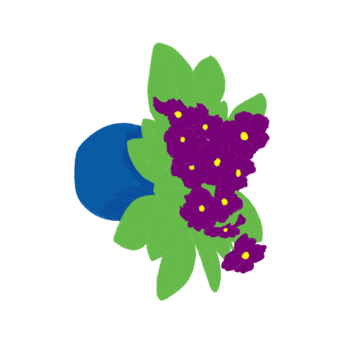 Canterbury Bells Flowers Canterbury Bells Flowers