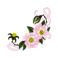 Carolina Rose Flowers