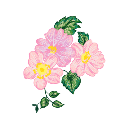 Carolina Rose Flowers Carolina Rose Flowers