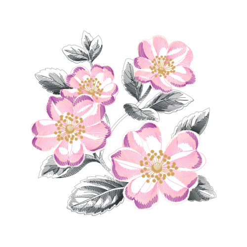 Carolina Rose Flowers Carolina Rose Flowers