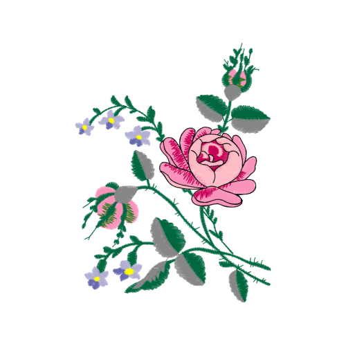 Carolina Rose Flowers Carolina Rose Flowers