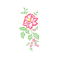 Carolina Rose Flowers Carolina Rose Flowers