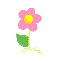 Carolina Rose Flowers