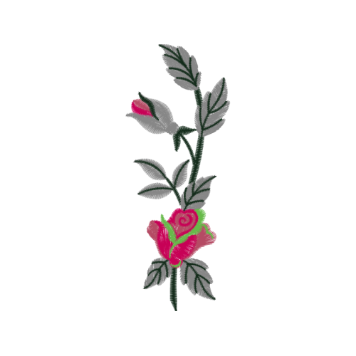 Cattleya Orchids Flowers Cattleya Orchids Flowers