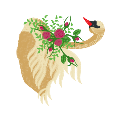 Chicken Flowers Chicken Flowers