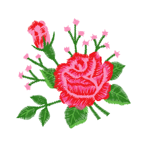 Chinese Aster Flowers Chinese Aster Flowers