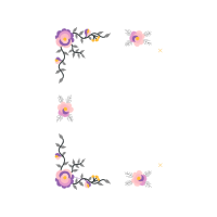 Chrysanthemum Flowers