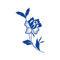 Delphinium Flowers Delphinium Flowers