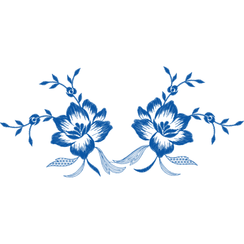 Delphinium Flowers Delphinium Flowers