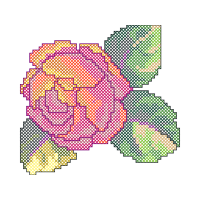 Diagram Flowers Diagram Flowers