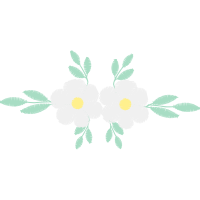 Dog Rose Flowers Dog Rose Flowers