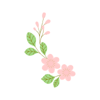 Dog Rose Flowers Dog Rose Flowers