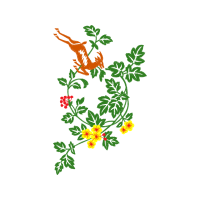 Dog Rose Flowers Dog Rose Flowers