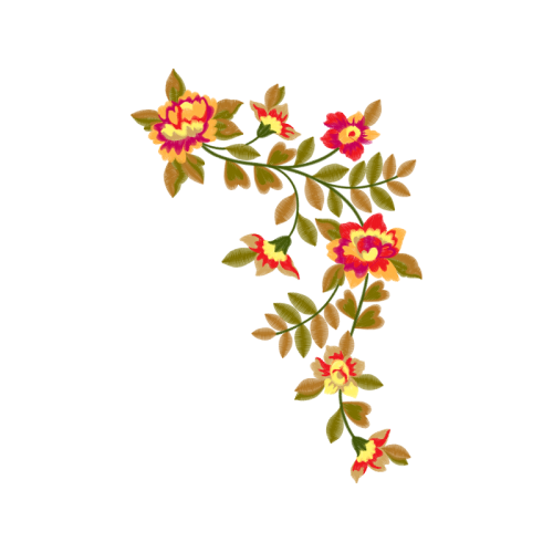 Dog Rose Flowers Dog Rose Flowers