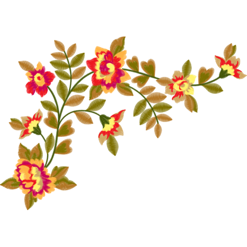 Dog Rose Flowers Dog Rose Flowers