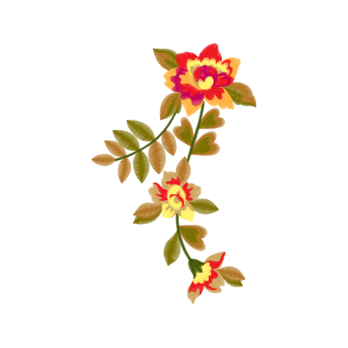 Dog Rose Flowers Dog Rose Flowers