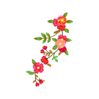 Dog Rose Flowers