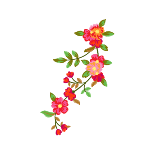 Dog Rose Flowers Dog Rose Flowers