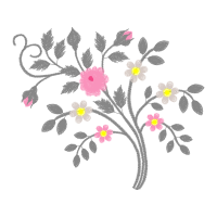 Dog Rose Flowers Dog Rose Flowers