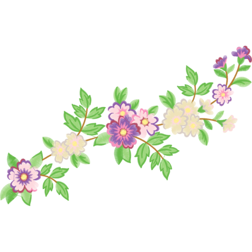 Dog Rose Flowers Dog Rose Flowers