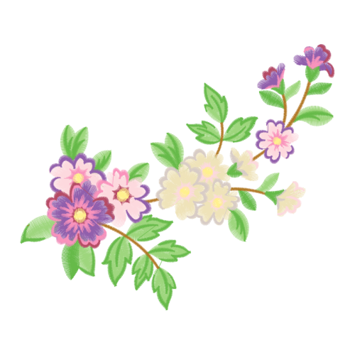 Dog Rose Flowers Dog Rose Flowers