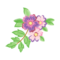 Dog Rose Flowers Dog Rose Flowers