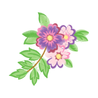 Dog Rose Flowers Dog Rose Flowers