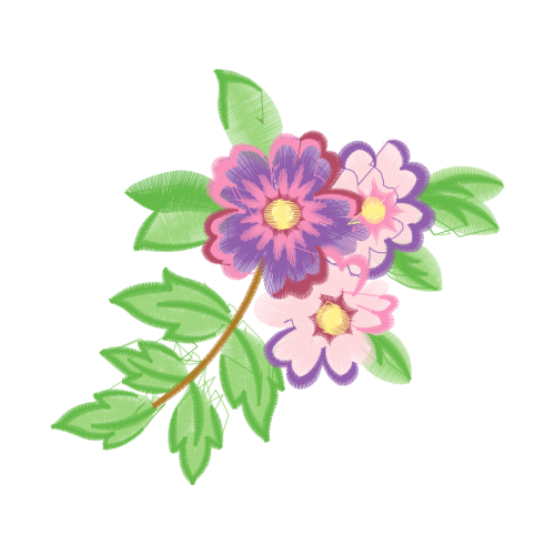 Dog Rose Flowers Dog Rose Flowers