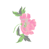 Dog Rose Flowers Dog Rose Flowers