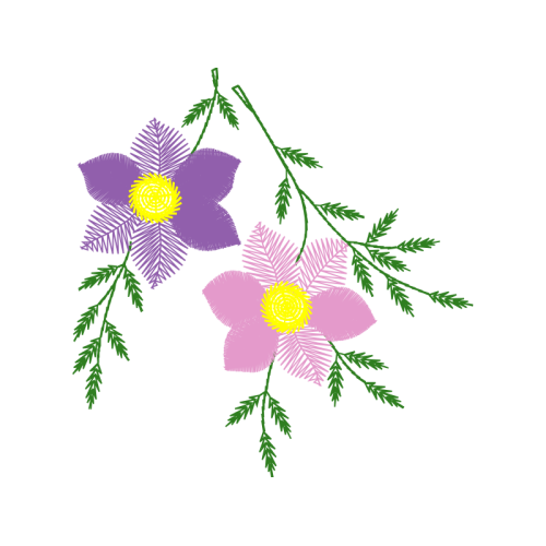 Dog Rose Flowers Dog Rose Flowers