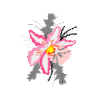 Dog Rose Flowers Dog Rose Flowers